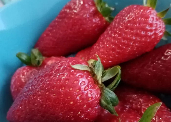 Aurora's House Castellabate