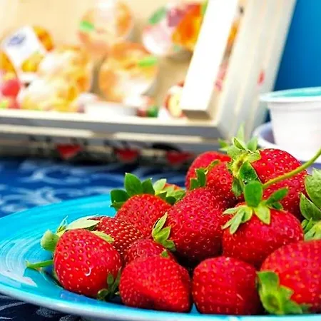 Bed & Breakfast Aurora's House Castellabate