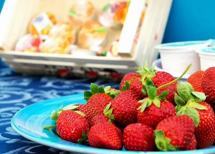 Aurora's House 卡斯特拉巴特